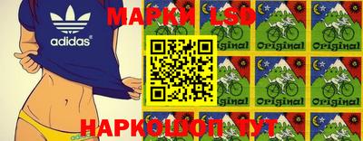 гидропоника Можга